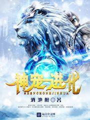 神宠进化百度百科