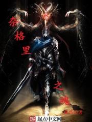 奈格里之魂好看么