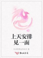 上天安排什么意思