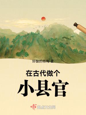 在古代做个小县官TXT