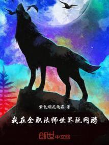 我在全职法师世界想要稳健发展