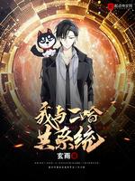 我和二哈共系统讲的什么内容