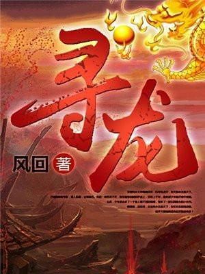 寻龙剑侠赖布衣