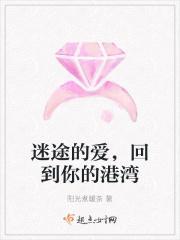 的迷途是什么歌