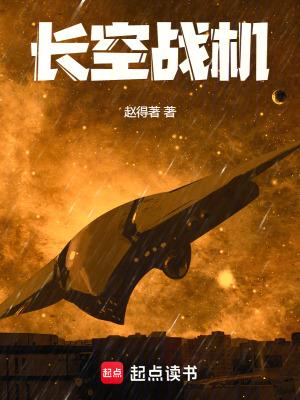 长空战机百度TXT