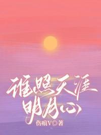 谁照天涯明月心顾锦川林月瑶