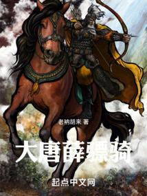 大唐薛骠骑笔趣阁免费