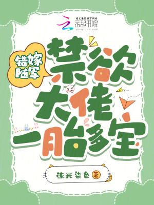 错嫁良缘之一代军事