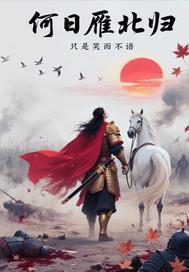 雁何归歌词的含义