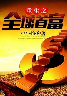 重生之全球首富搜读