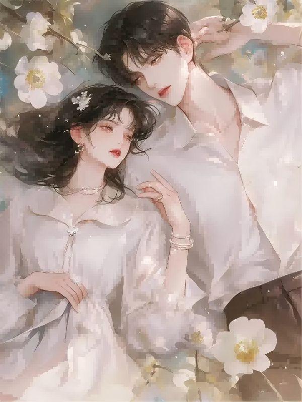 第77次原谅经典语录