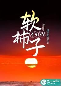 软柿子好捏之类的话