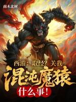 西游混沌魔猿身份