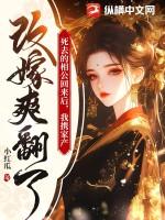 我携家产改嫁爽翻了 小红瓜