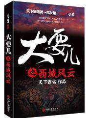 大耍儿之西城风云是第几部