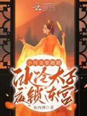 小侍妾要跑路冰冷太子夜锁东宫 夜西洲