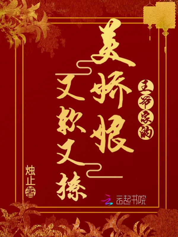 王爷家的团宠小后娘