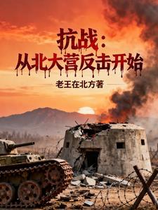 抗战重生北大营的