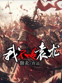 我不是袁术无弹窗 书旗