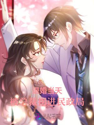 退婚当天被总裁拐进民政局最新章节更新