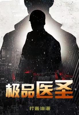 极品医圣女婿百度百科