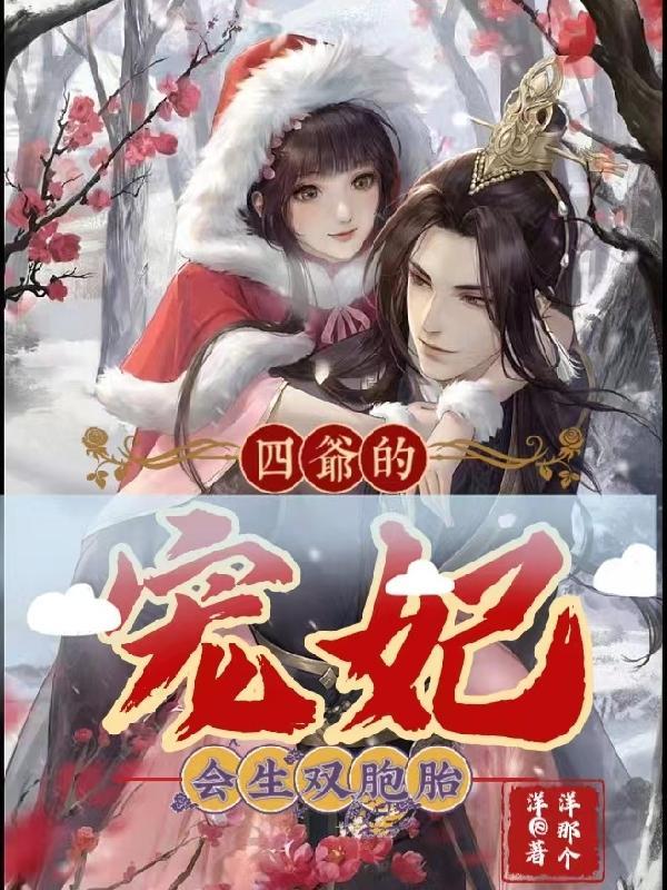 有关四爷的古代宠文