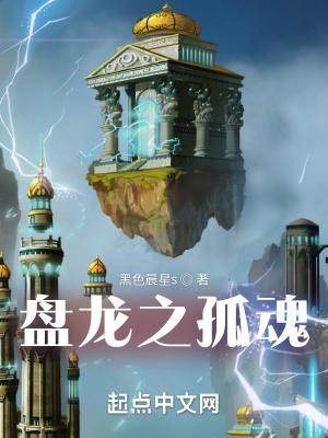 盘龙之孤魂TXT目录