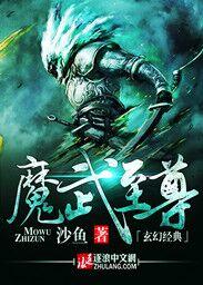 魔武至尊的双男