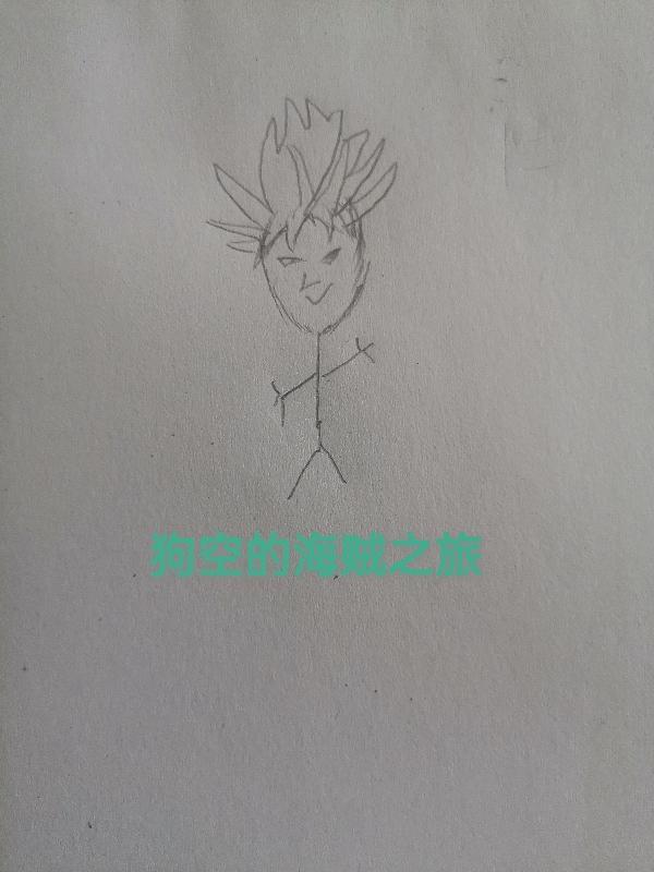 赛亚人在海贼王世界的