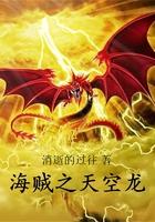 海贼王之天空之龙