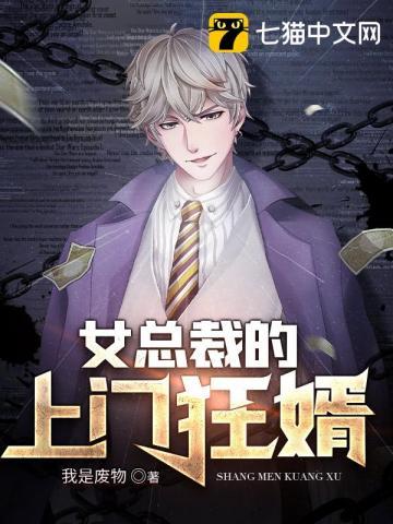 女总裁的上门狂婿方 毅