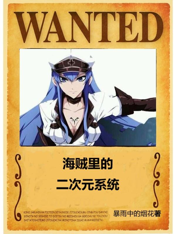 海贼里的超次元海贼团作者暴雨中的烟花新马甲贴吧
