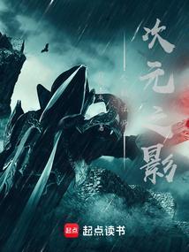 全职法师次元之影 全集完整版笔趣阁