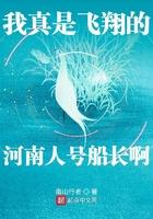 我真是飞翔的河南人号船长啊 南山行者 著