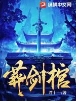 葬剑棺苏阳境界