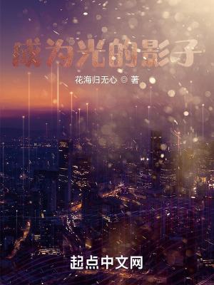 影子是光的妻