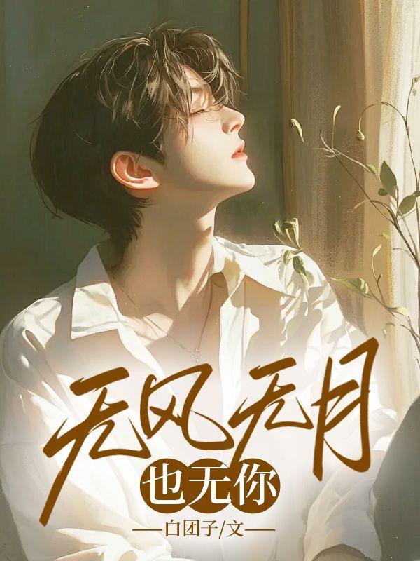 无风无月也无你整首诗经典语气