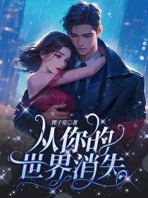 今夜从你的世界消失