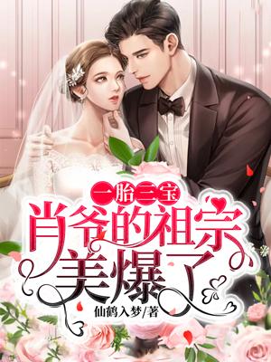 一胎三宝萧总追妻路漫漫