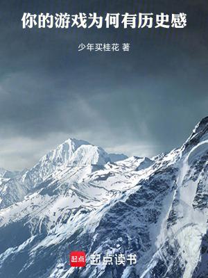 你的游戏为何有历史感免费