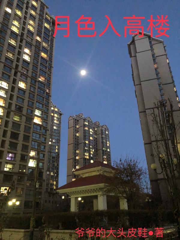 月色入高楼打最准确一个生肖