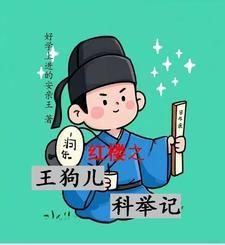 红楼之链二爷的科举之路