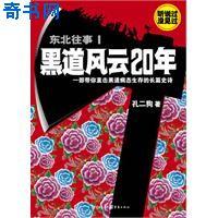 黑道风云二十年 百科