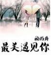 最美的时候遇见你