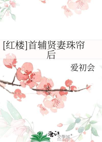 红楼首辅贤妻珠帘后爱初会