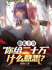 你给二十万什么意思? 03