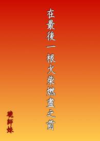 最后一根火柴的作者