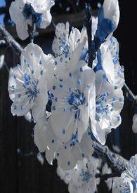 春秋航空加密兰州至多地航线