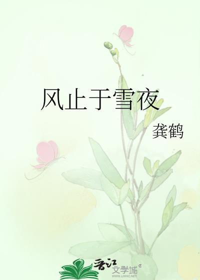 风止于雪夜晋江