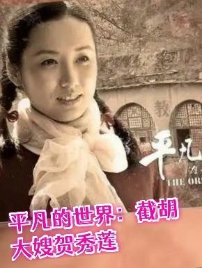 平凡的世界贺秀莲简介